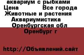 аквариум с рыбками › Цена ­ 1 000 - Все города Животные и растения » Аквариумистика   . Оренбургская обл.,Оренбург г.